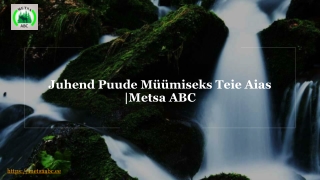 Juhend Puude Müümiseks Teie Aias | Metsa ABC