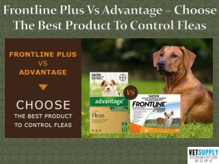 Frontline Plus Vs Advantage Flea Treatment for Dogs | VetSupply
