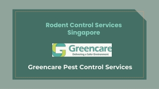 Rodent Control Services Singapore - Greencare