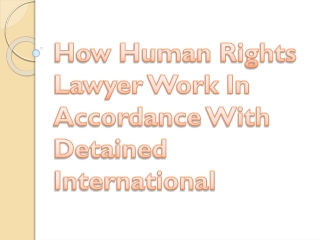 How Human Rights Lawyer Work In Accordance With Detained International