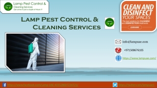 Effectively Municipality approved pest control Dubai