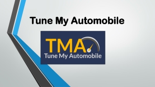 Honda Motorcycles-Tune My Automobile