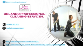 Professional Cleaners Dubai