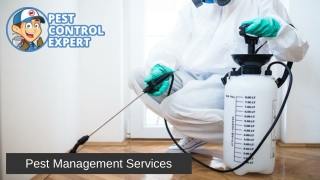 Pest Management Services - Pest Control Expert