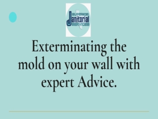 Exterminating the mold on your wall with expert Advice.