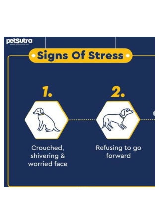 Sings of Stress in Dogs - PetSutra
