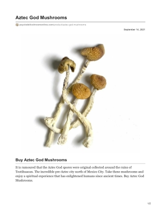 Aztec God Mushrooms