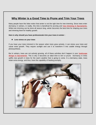 Is It a Good Idea to Prune and Trim Your Garden Trees in the Winter?