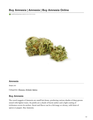 Amnesia