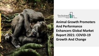 Animal Growth Promoters And Performance Enhancers Market Report 2030