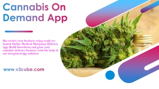 Launch Amazing and Responsive Marijuana Delivery App