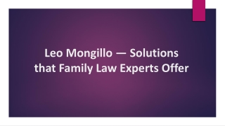 Leo Mongillo — Solutions that Family Law Experts Offer