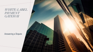 White-Label Payment Gateway - Answering a Dispute