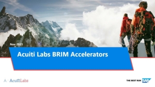 Acuiti Labs BRIM Accelerators