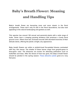 Baby’s Breath Flower: Meaning and Handling Tips