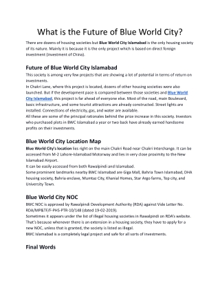 What is the Future of Blue World City