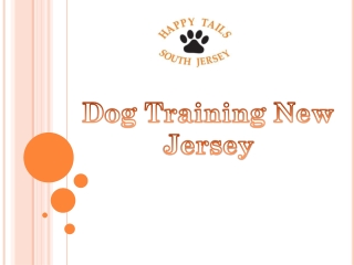 Professional Dog Training in New Jersey