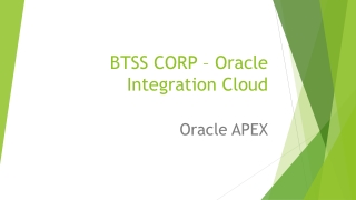 BTSS CORP – Oracle Integration Cloud