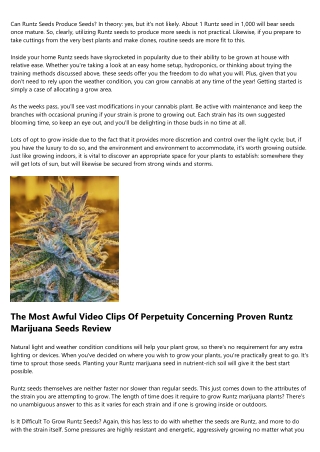 Exactly How Effective Individuals Take Advantage Of Greatest Runtz Seeds THC Lev