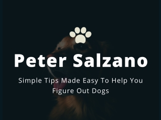 Peter Salzano - Simple Tips Made Easy To Help You Figure Out Dogs