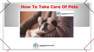 How to take care of pets