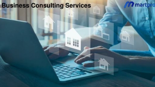 Business Consulting Services