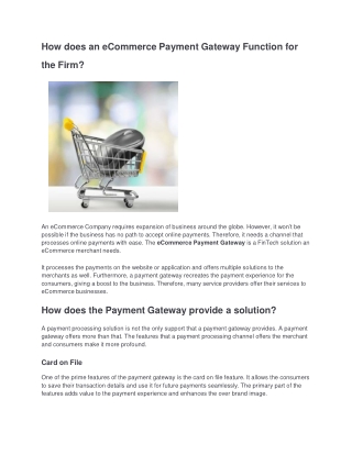 How does an eCommerce Payment Gateway Function for the Firm