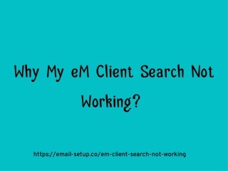 Why My eM Client Search Not Working?