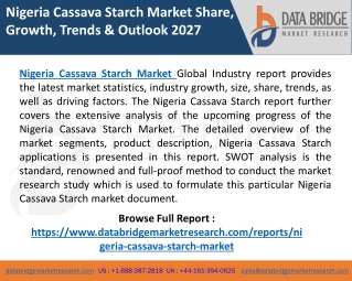 Nigeria Cassava Starch Market Industry Size, Share, Trends, COVID-19 Analysis