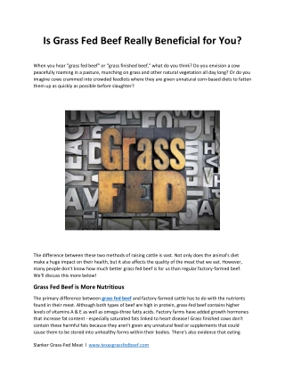 Is Grass Fed Beef Really Beneficial for You?