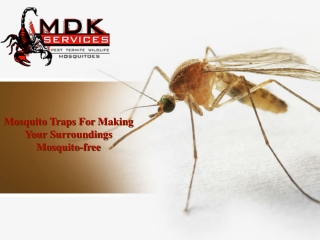 Mosquito Traps For Making Your Surroundings Mosquito-free