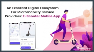 An Excellent Digital Ecosystem For Micromobility Service Providers: E-Scooter