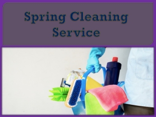 Spring Cleaning Service