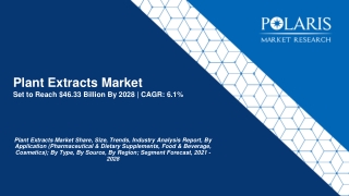 Plant Extracts Market Size Worth $46.33 Billion By 2028