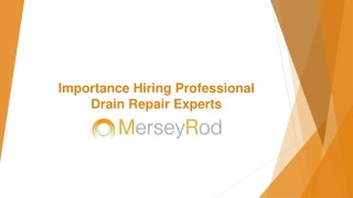 Importance Hiring Professional Drain Repair Experts