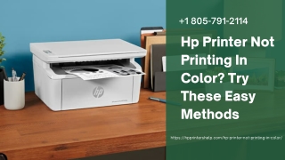 Hp Printer Not Printing Color How to Fix? 1-8057912114 Hp Printer Helpline