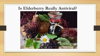 Is Elderberry Really Antiviral