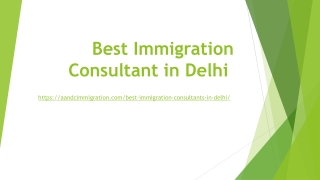 Best immigration consultant in Delhi