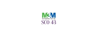 M3M Shop Cum Office Space (SCO) INn Sector 43 Gurgaon