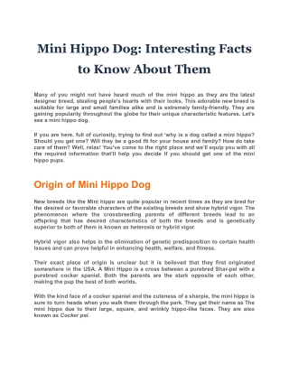Mini Hippo Dog: Interesting Facts to Know About Them