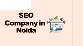 SEO Company in Noida