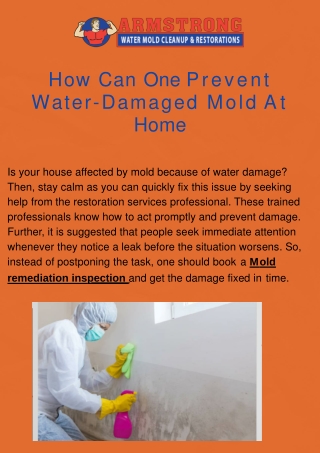 Find The Best  Mold Remediation Inspection