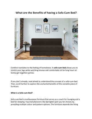 What are the Benefits of having a Sofa Cum Bed?