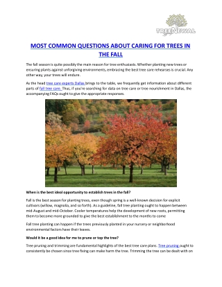 MOST COMMON QUESTIONS ABOUT CARING FOR TREES IN THE FALL