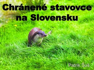 Chránené stavovce na Slovensku