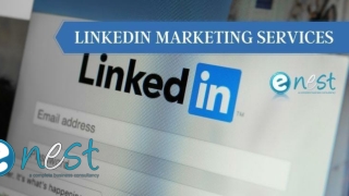 linkedin marketing services
