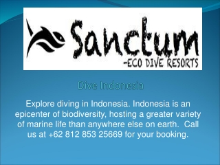 Dive Indonesia