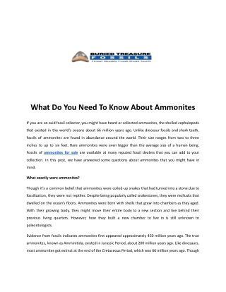 What Do You Need To Know About Ammonites pdf