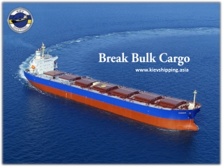 Break Bulk Cargo