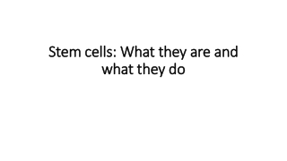 Stem cells What they are and what they do